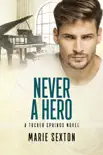 Never a Hero synopsis, comments