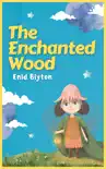 The Enchanted Wood reviews