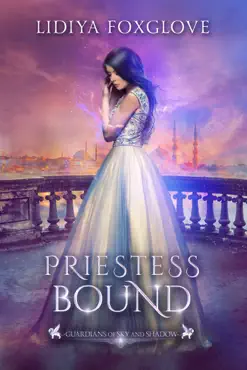 priestess bound book cover image