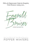 Emerald Bruises synopsis, comments