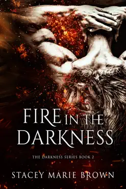 fire in the darkness (darkness series #2) book cover image