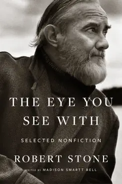 the eye you see with book cover image