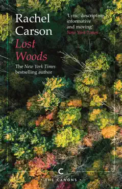 lost woods imagen de la portada del libro