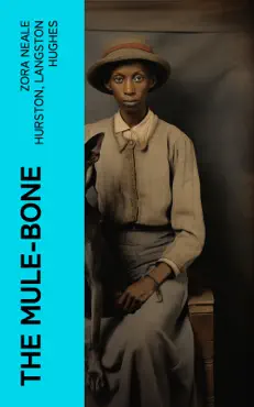 the mule-bone book cover image