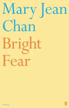 bright fear book cover image