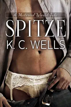 spitze book cover image