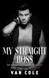 My Straight Boss synopsis, comments