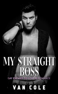 my straight boss book cover image