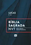Lucas 7 - 9, NVT synopsis, comments