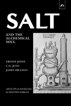 salt and the alchemical soul book cover image