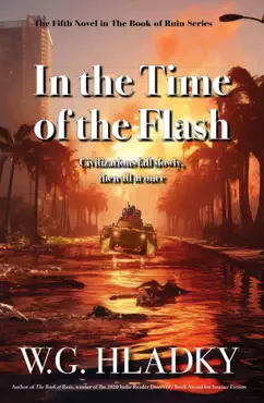 in the time of the flash book cover image
