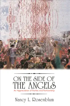 on the side of the angels book cover image