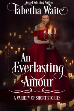 an everlasting amour book cover image