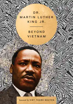 beyond vietnam book cover image