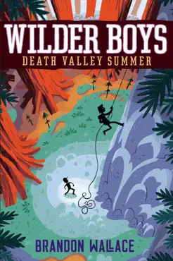 death valley summer book cover image