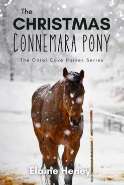 the christmas connemara pony - the coral cove horses series book cover image