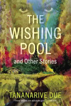 the wishing pool and other stories book cover image