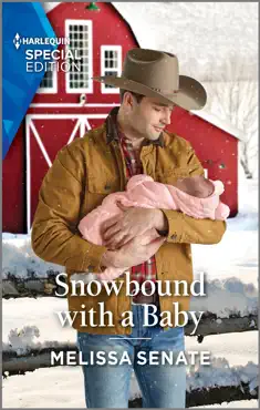 snowbound with a baby book cover image