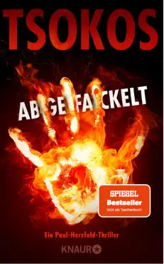 abgefackelt book cover image