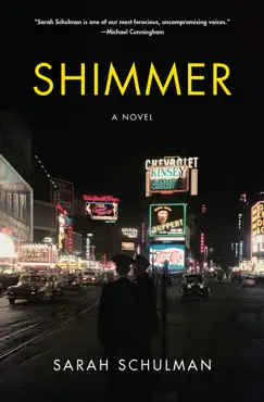 shimmer book cover image