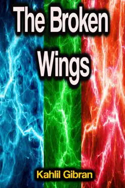 the broken wings book cover image
