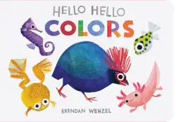 hello hello colors book cover image