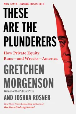 these are the plunderers book cover image
