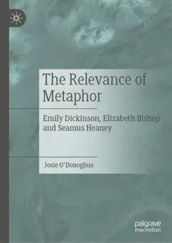 the relevance of metaphor book cover image