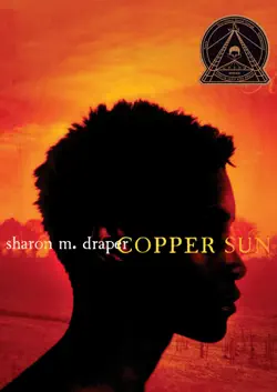 copper sun book cover image