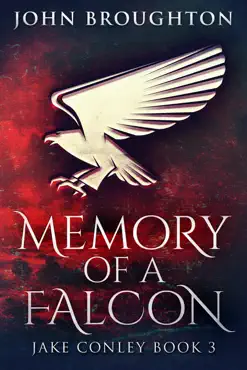 memory of a falcon book cover image