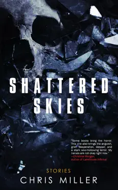 shattered skies imagen de la portada del libro