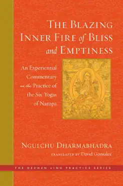 the blazing inner fire of bliss and emptiness book cover image