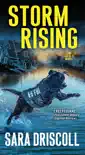 Storm Rising synopsis, comments