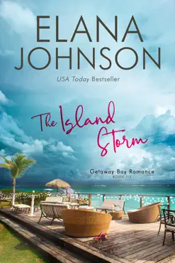 the island storm book cover image