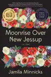 Moonrise Over New Jessup synopsis, comments
