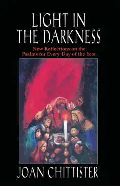light in the darkness book cover image