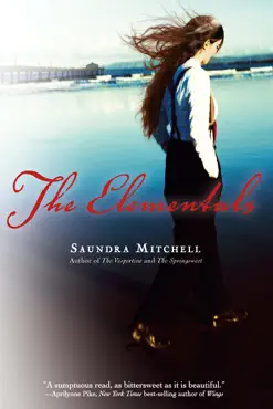 the elementals book cover image