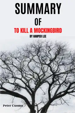 summary of to kill a mockingbird by harper lee book cover image