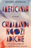 Americanah synopsis, comments