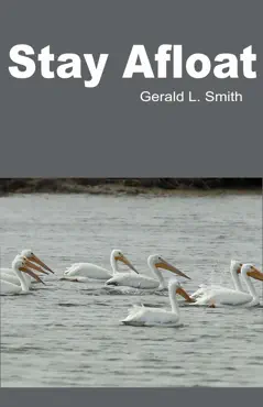 stay afloat book cover image
