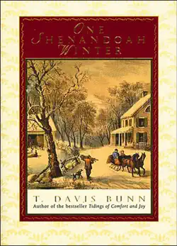 one shenandoah winter book cover image