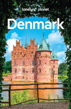 denmark 9 book cover image