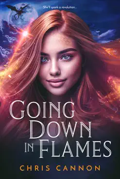 going down in flames imagen de la portada del libro