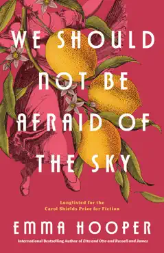we should not be afraid of the sky book cover image
