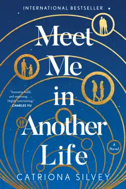 meet me in another life book cover image