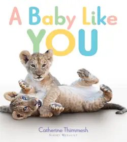 a baby like you book cover image