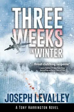 three weeks in winter book cover image