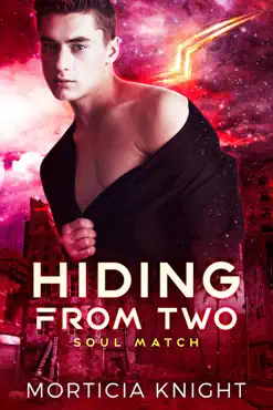 hiding from two book cover image