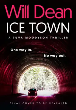 ice town book cover image