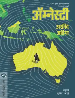 amnesty book cover image